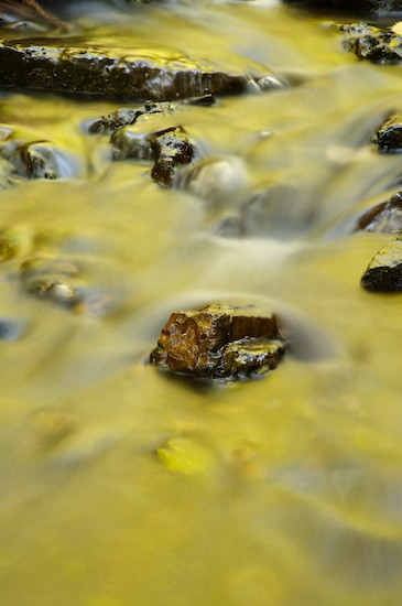 Boulder;Brook;Creek;Geological;Geology;Machine Falls;Reflection;Reflections;Rivulet;Rock;Rock Formations;Rocks;Short Springs State Natural Area;Stone;Stones;Stream;Streamlet;Striation;Tullahoma;United States;Yellow